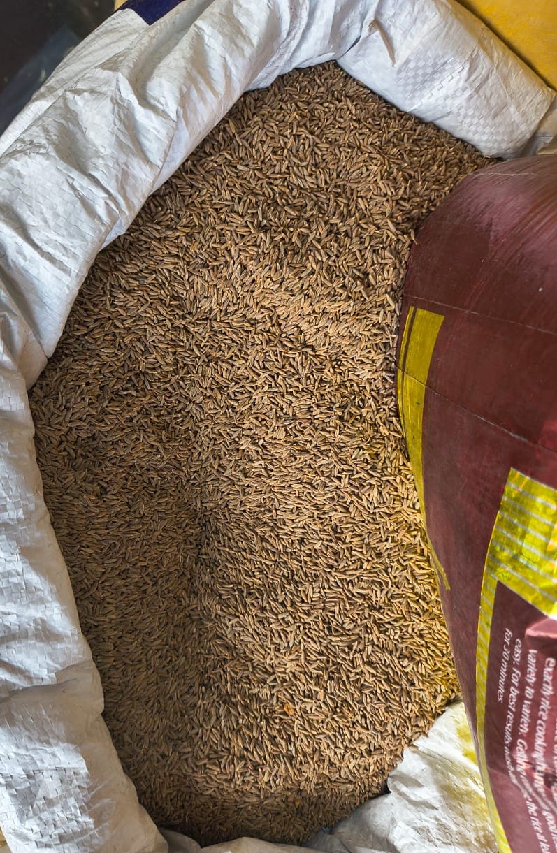 Cumin seed