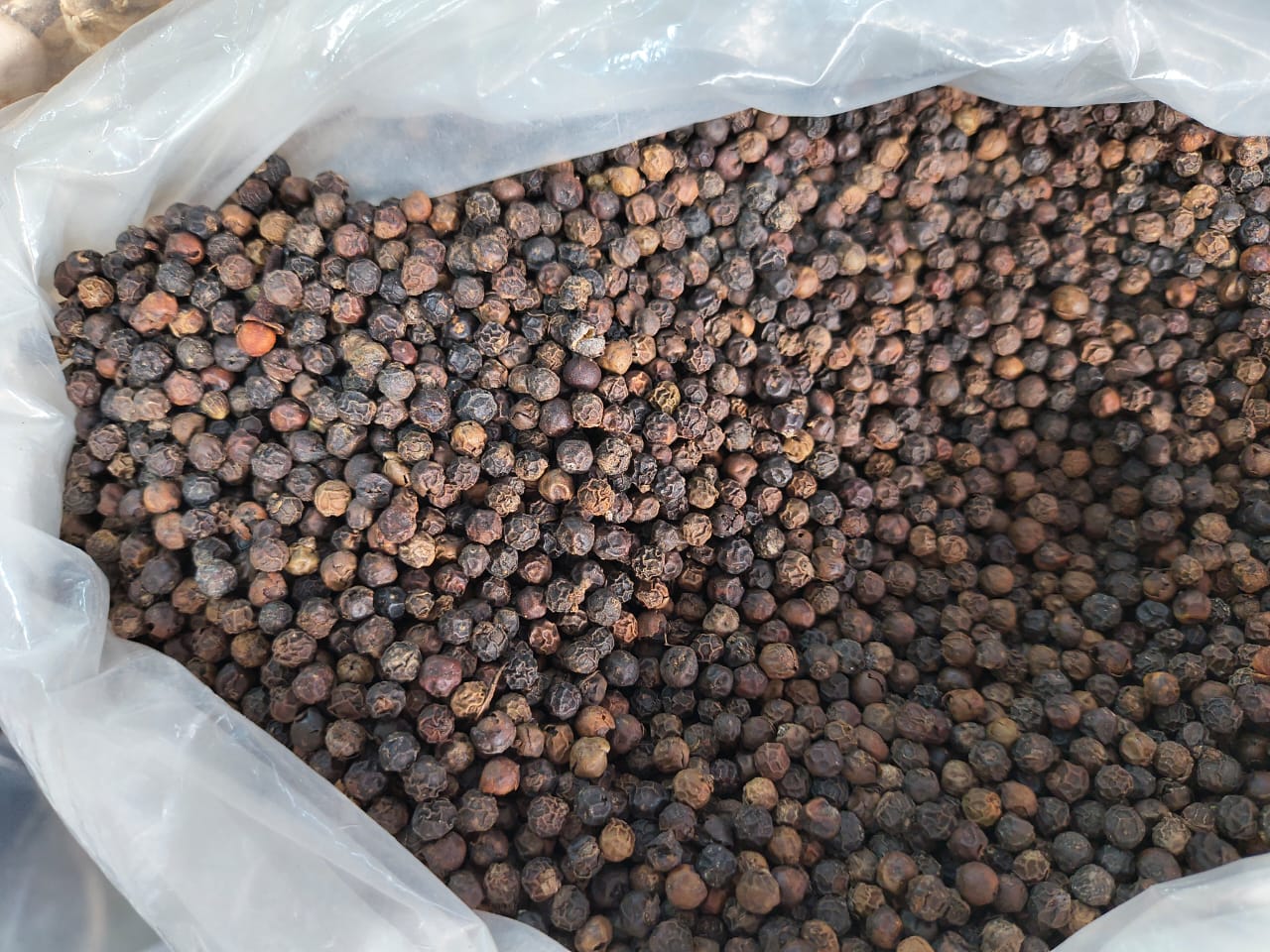 Black pepper