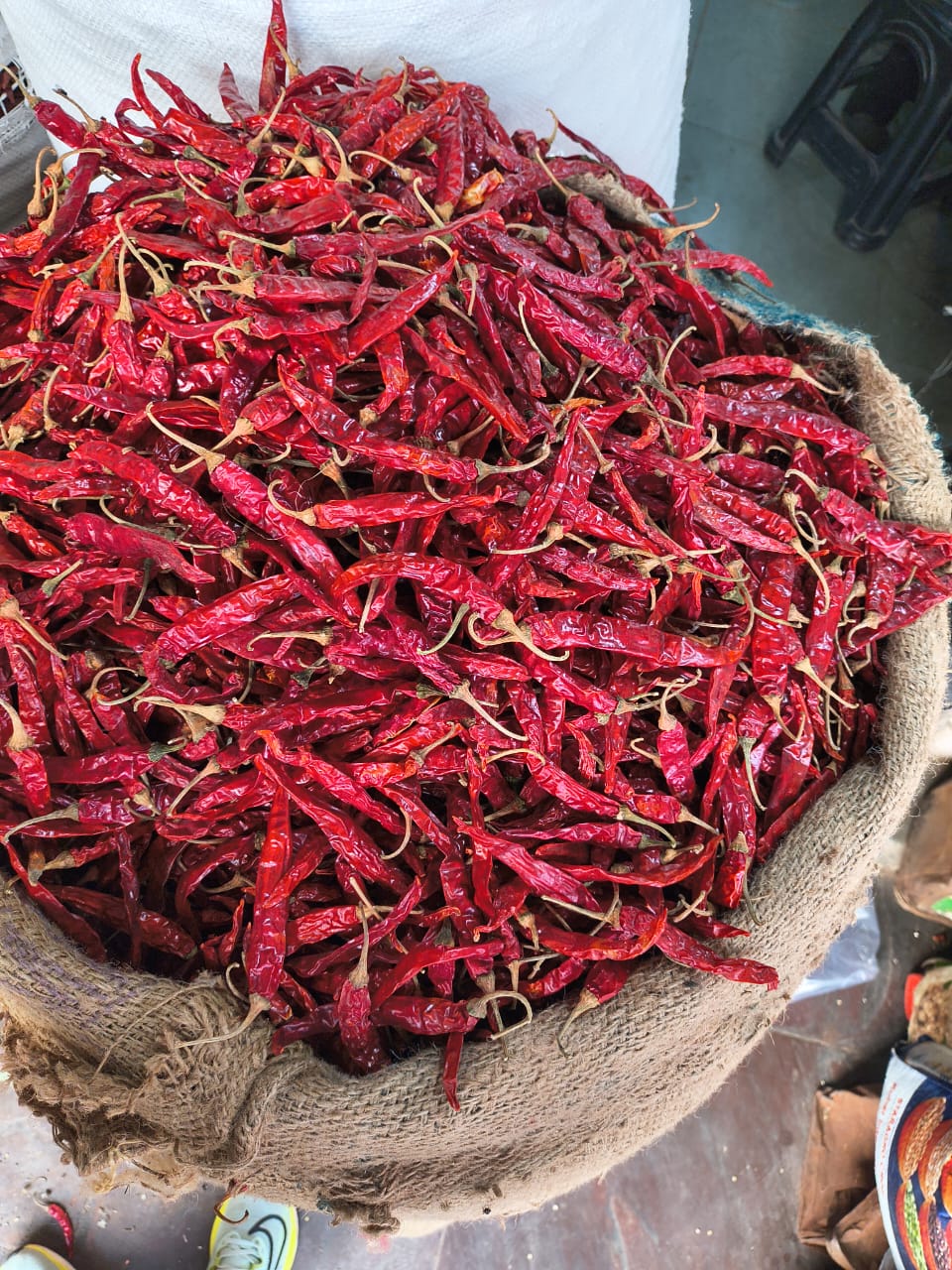 Chilli / capsicum