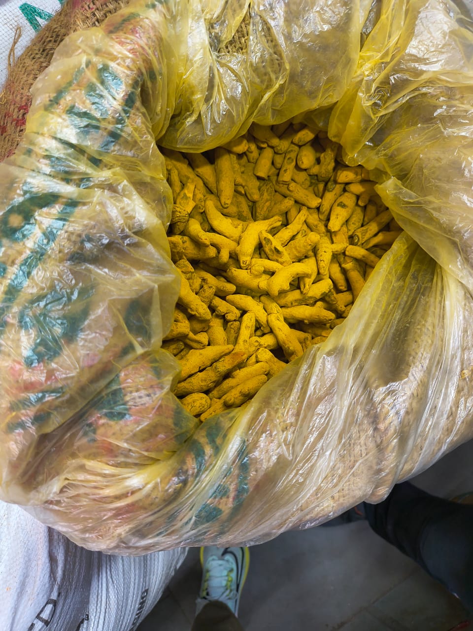 Turmeric