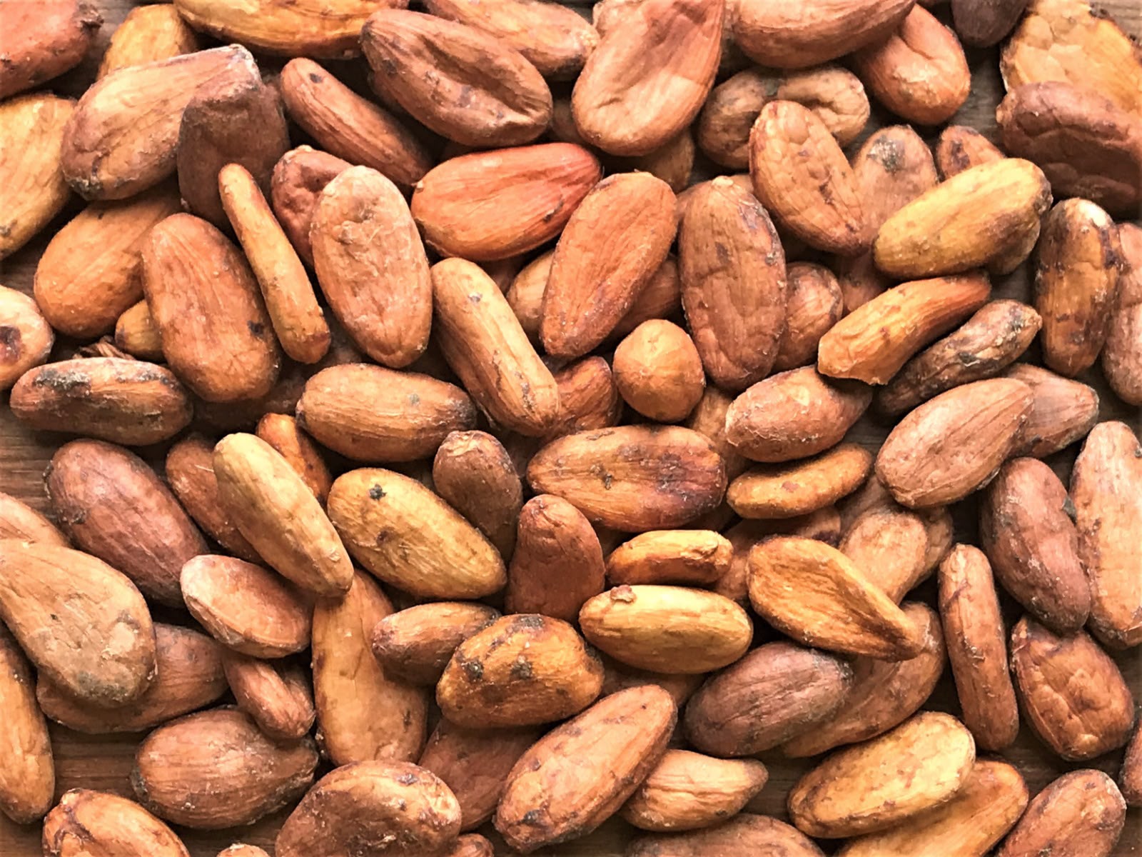 Cocoa beans